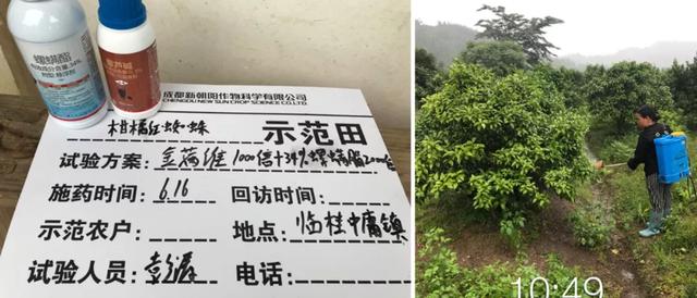 螺螨酯：杀螨界的扛把子，找到伴侣，实现虫卵双杀，真正走向巅峰10