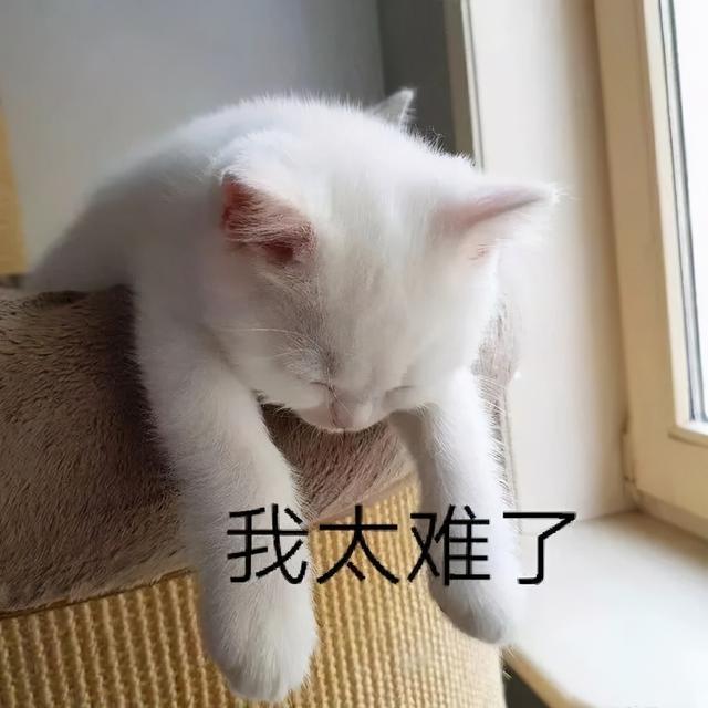 gj是什么意思