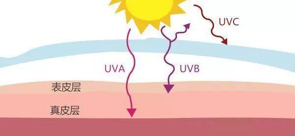 uva和uvb分别代表什么（uva和uvb分别波长）