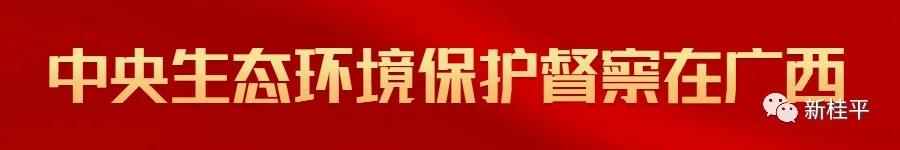 什么是尾矿库浸润线