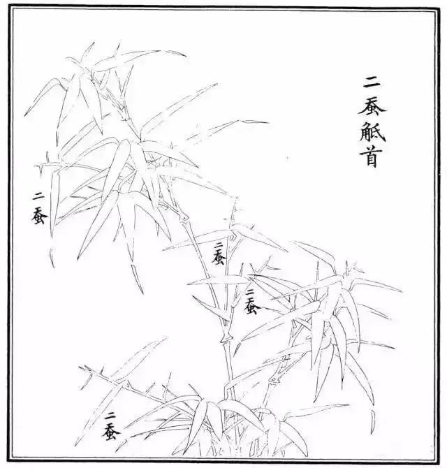 竹子怎么画 竹子怎么画