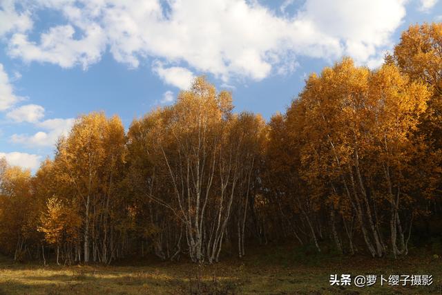 一路向北草原自駕行4：柳樹溝