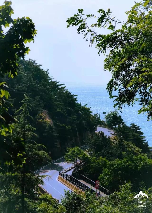 山东秋天景点排行榜前十名（人间最美是秋色）(14)