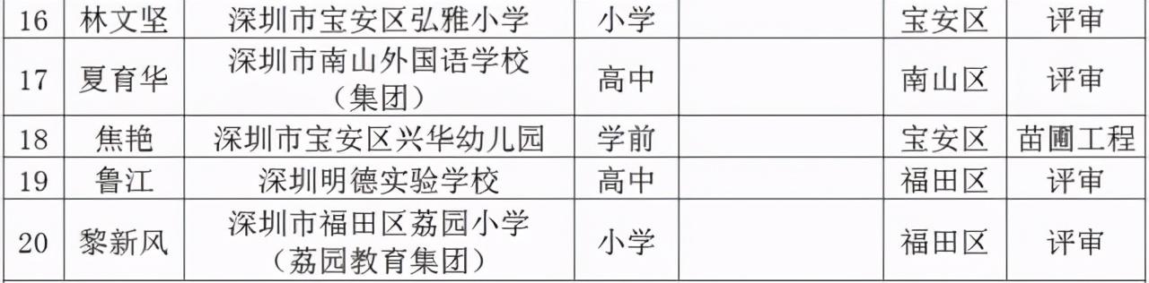 名师工程人选个人三年发展规划