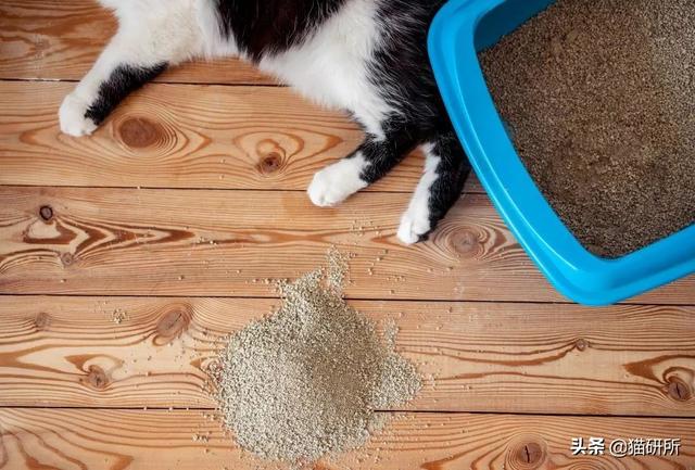 洗衣机洗猫砂