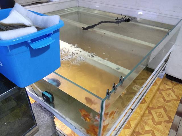 冲缸是什么意思啊(冲缸和拉缸是什么意思)