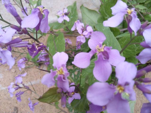 老年人合理安排好一日三餐，宜于健康长寿