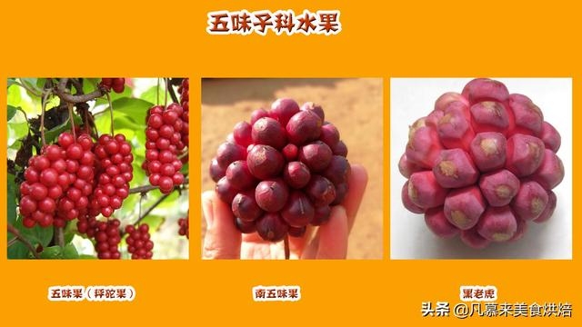 水果有哪些 水果有哪些（水果有哪些形状） 生活