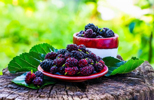 年纪越大，膝盖越疼？医生呼吁：56岁后常吃这5物，或可缓解