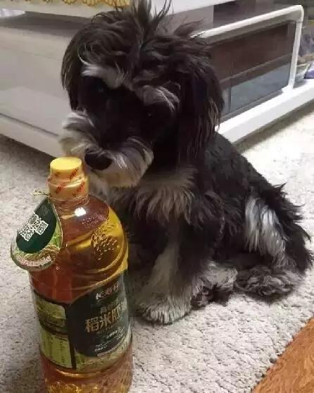 古牧的价格