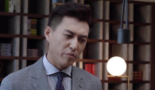 精英律师电视剧免费观看