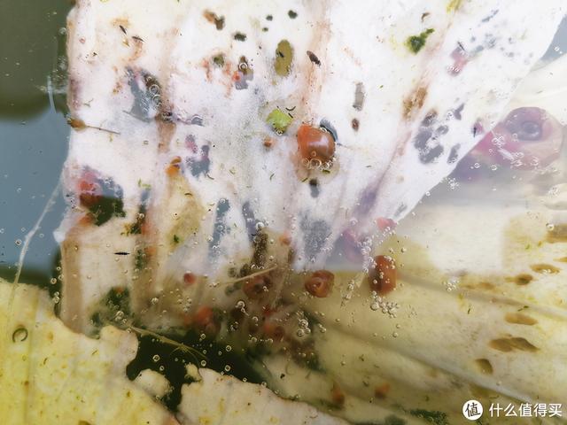 大蜗牛制砂机