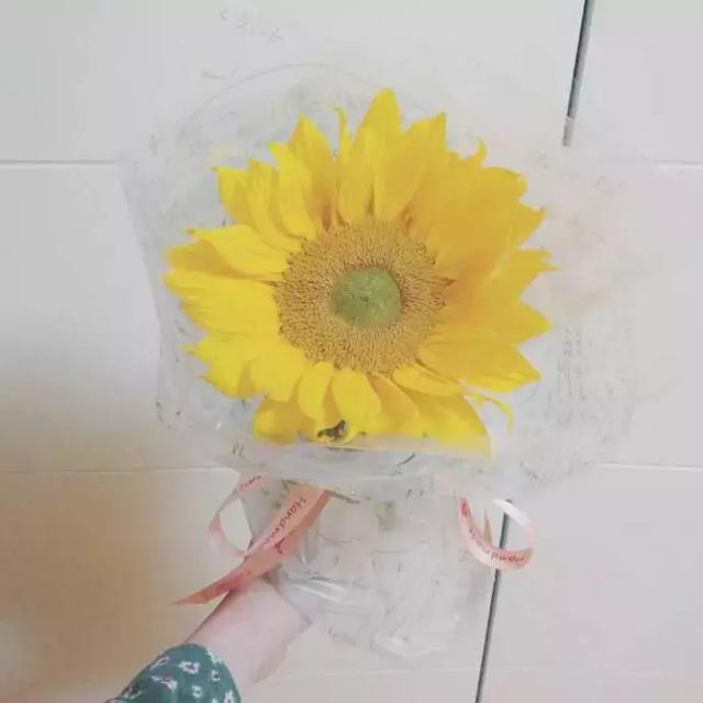 晚安说说句子190329：愿你人生的最开心，永远被最爱的人刷新