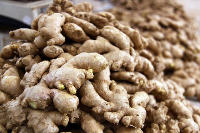 生姜吃不完 保存有难度 教你1个好方法 放半年都新鲜饱满 全网搜