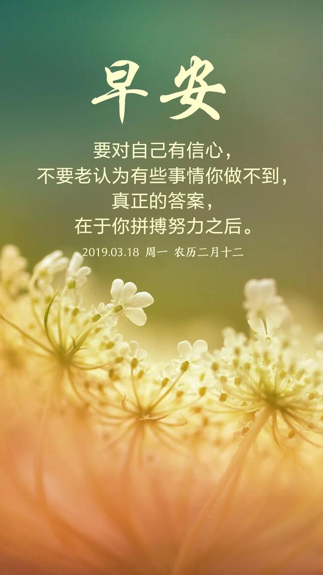 新的一周早安日签图190318：努力地向上爬，活成自己喜欢的样子