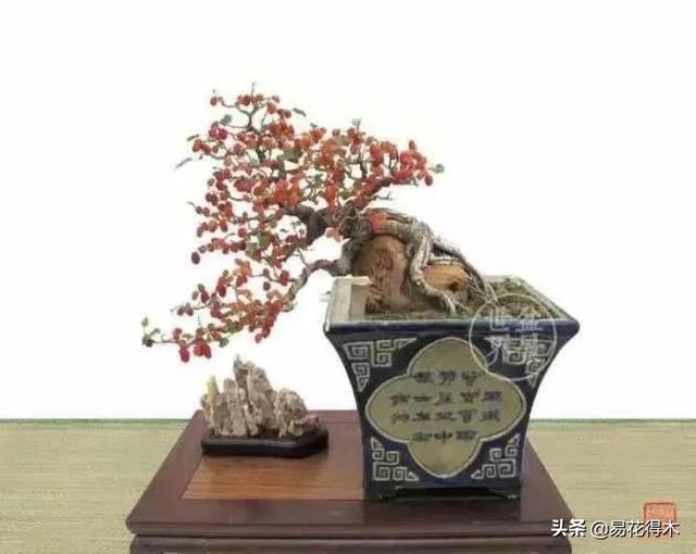 亳州干式洗砂机哪家好