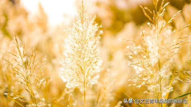 张掖过滤机
