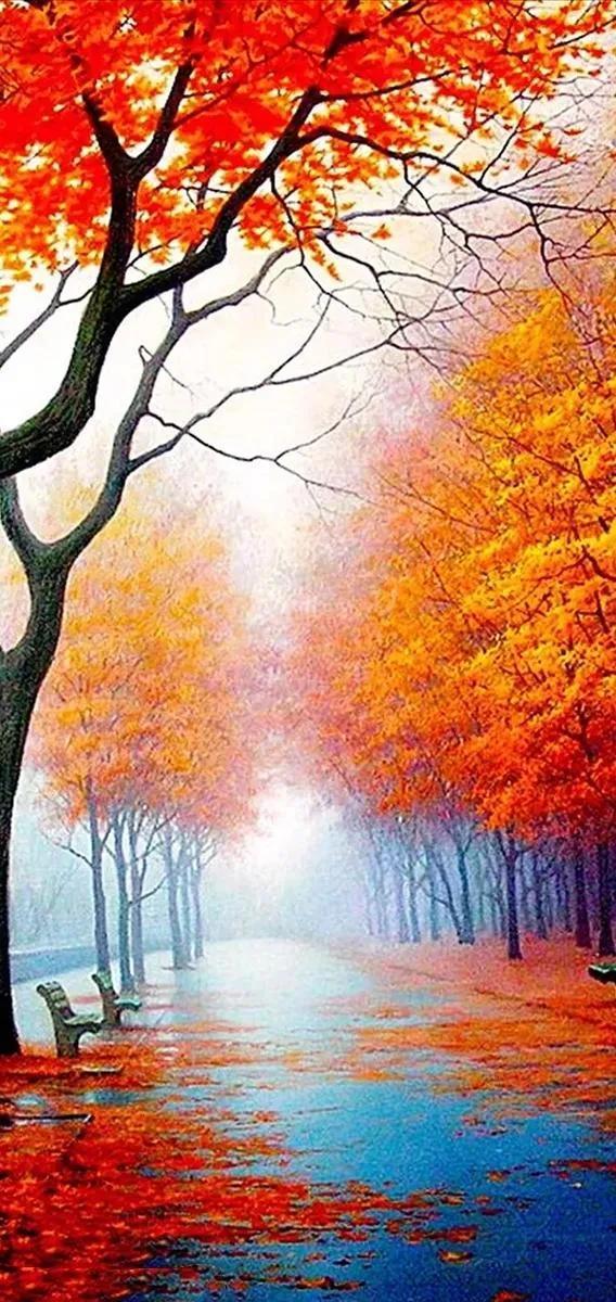 免费主题壁纸大全下载（免费主题壁纸大全）