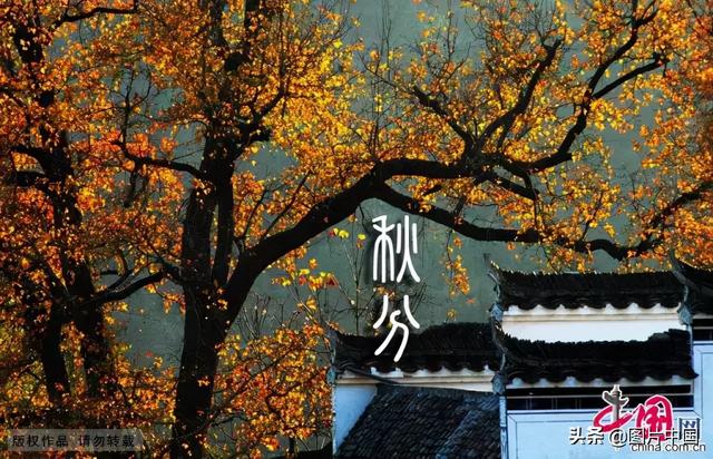 秋分丨12种食物预防秋燥