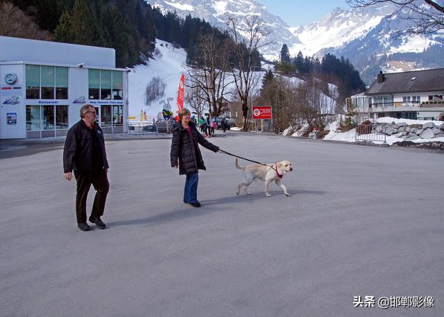 阿尔卑斯山在哪儿