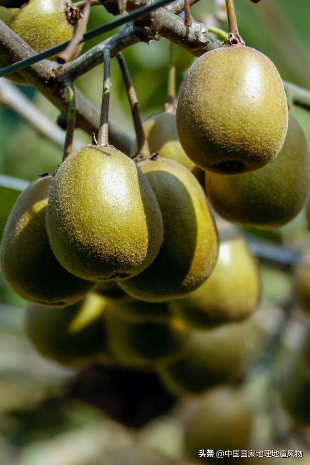 定西洗砂机价格