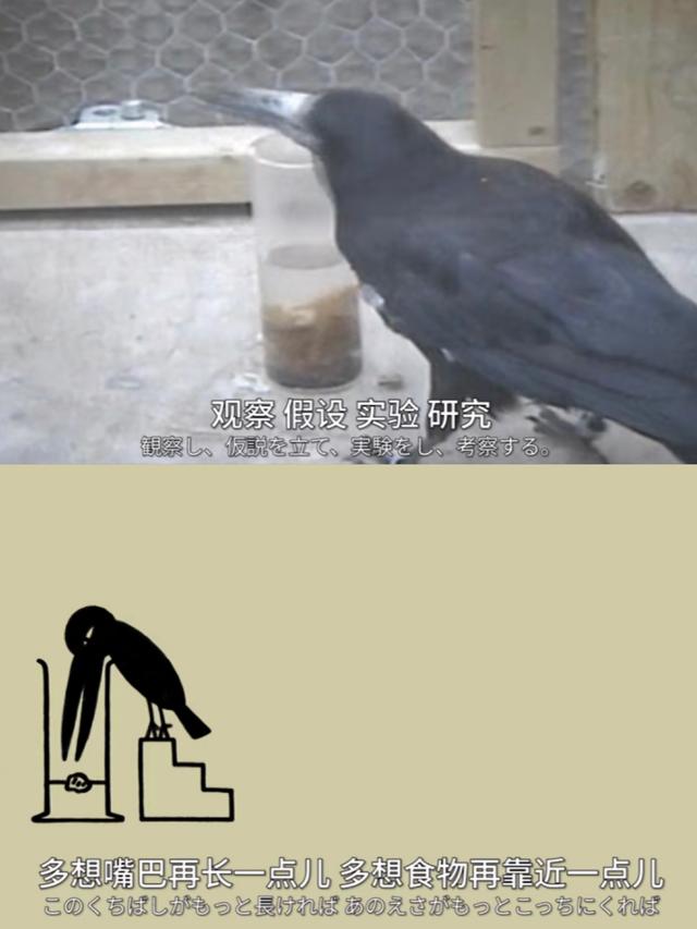 评分9.8的纪录片，让孩子学会思考，大脑更灵光，陪孩子看起来