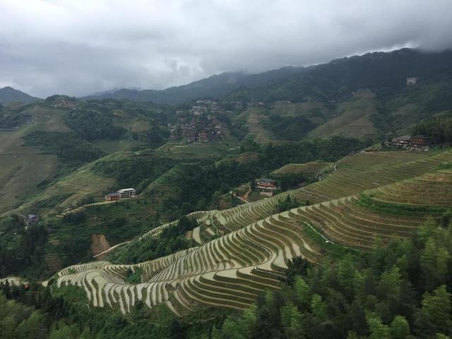天门可逆锤式破碎机