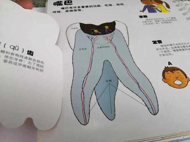 "我们的身体，翻烂了的机关书"