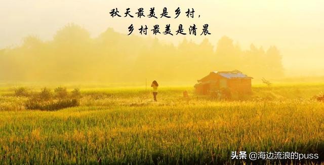 秋天 乡村就是一幅水墨画 太阳信息网