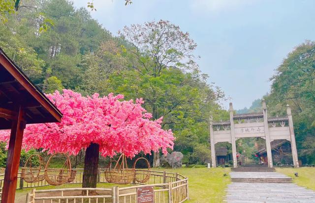 继长沙之后，谁是湖南第二城？岳阳、衡阳、常德和株洲展开争夺