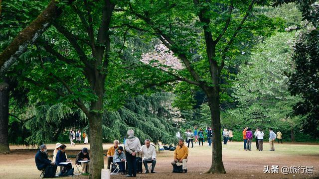 新宿御苑 繁华闹市里美得不可思议的公园 新闻红