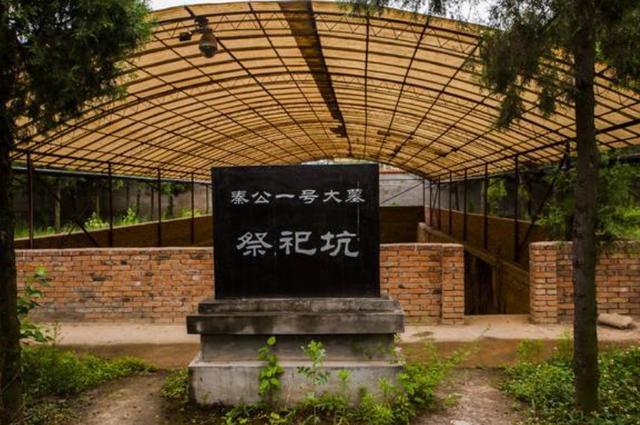 秦国先祖之墓：186人陪葬，耗费10年找到主棺，打开后专家心痛