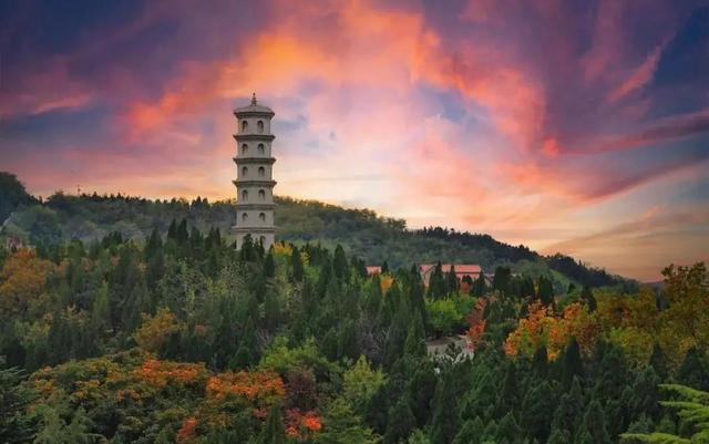 山东秋天景点排行榜前十名（人间最美是秋色）(20)