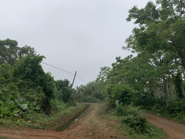 屯昌风化砂制砂机厂家