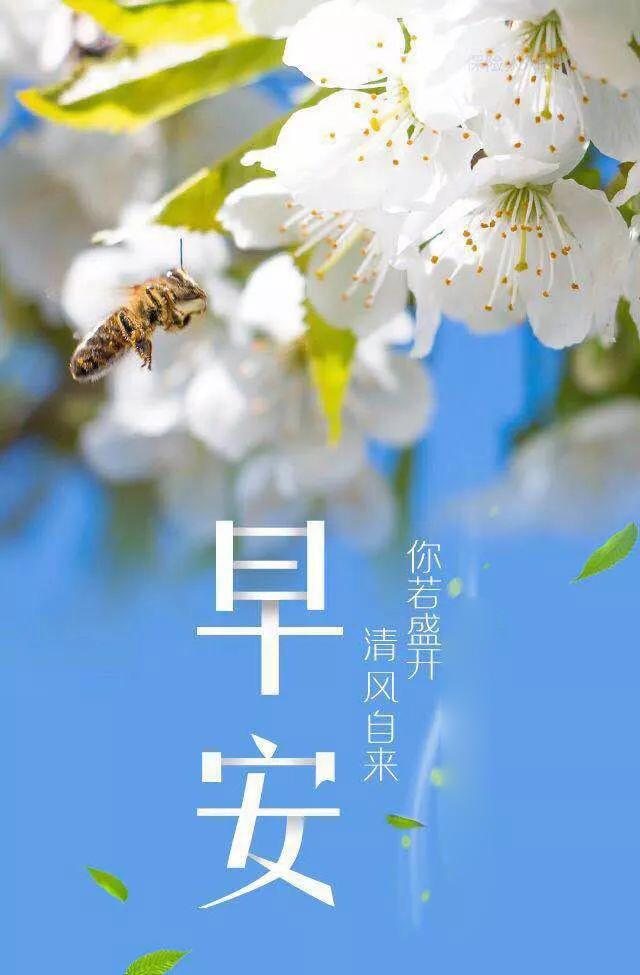 正能量早安心语图片190323：人生唯有点亮自己才能闪光