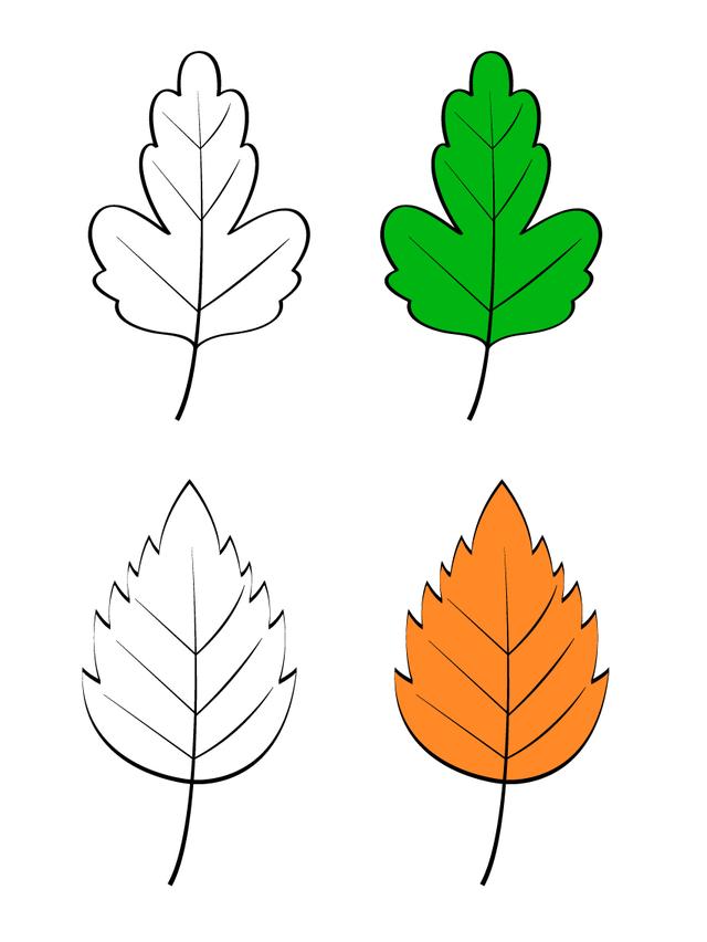 儿童叶子简笔画简单,16种不同树叶的儿童简笔画素材