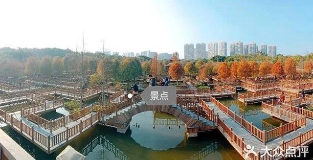 镇海石化建安工程公司郑展峰