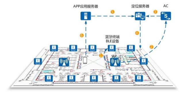 lbs是什么意思