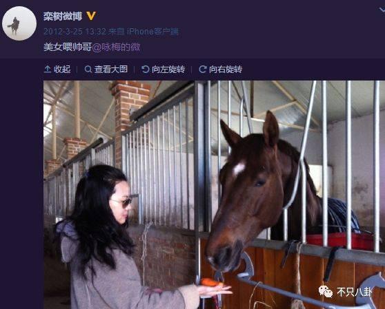 小欢喜刘静第一集开的车什么牌子（小欢喜中温柔的刘静阿姨）(75)