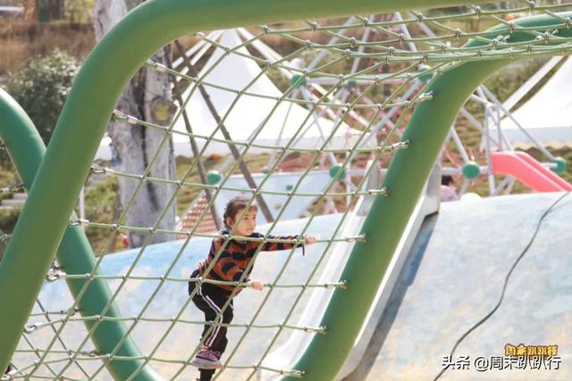 可爱爆炸！秋日萌萌哒便当，亲子露营必备哦