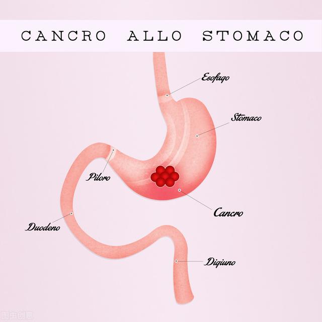 对自己的身体更了解一些 认识消化系统 全网搜
