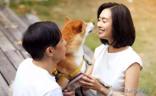 黄贯中的老婆是谁:朱茵：用20年时间证明，“下嫁”黄贯中才是她最对的选择