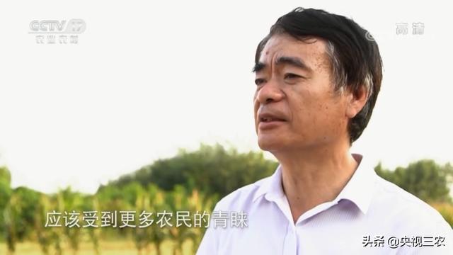 秸秆破碎机效果