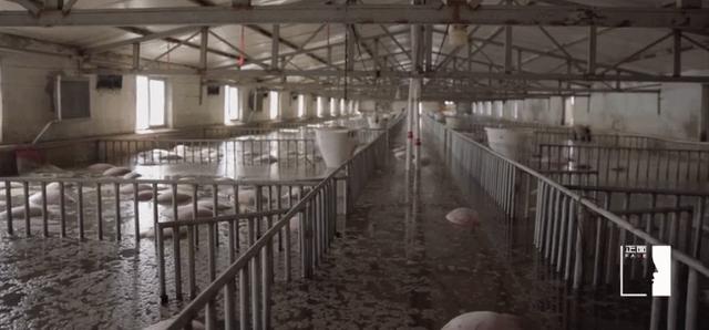 59岁俞敏洪转行直播带货：摧毁一个中年人有多容易？