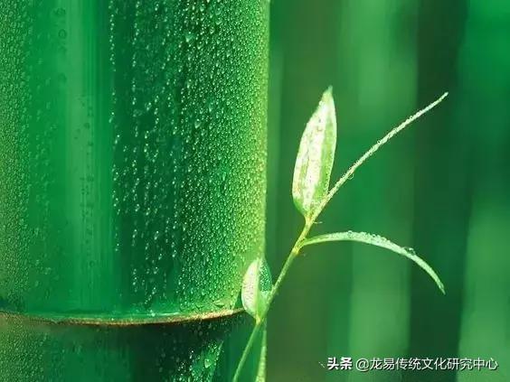 6205345905_d59a564256-160x160