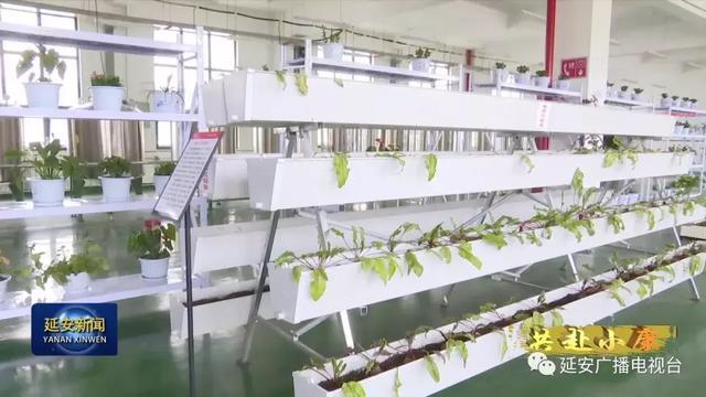 一种新型液体菌剂在延安研制成功7