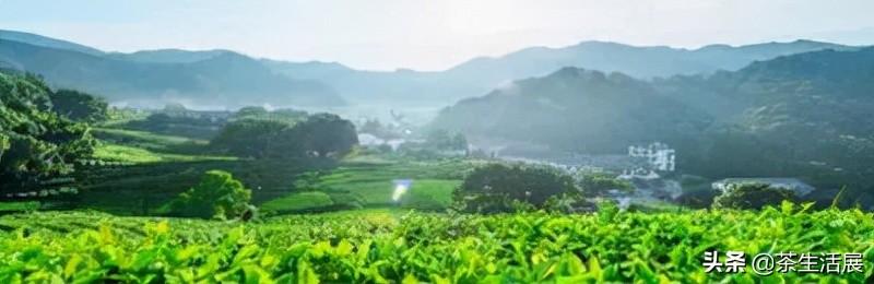 安溪印刷包装机械展费用