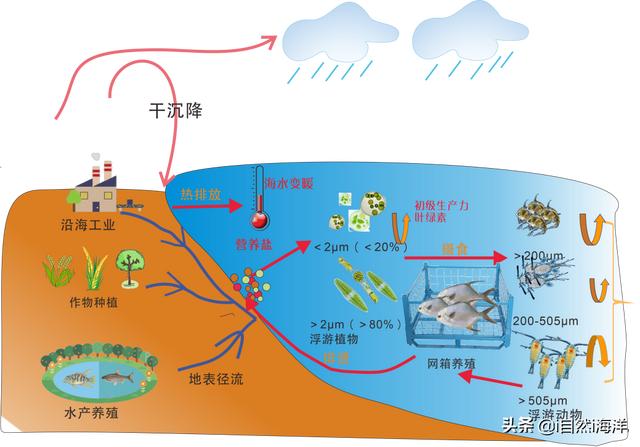 揭秘海湾生态的前世今生