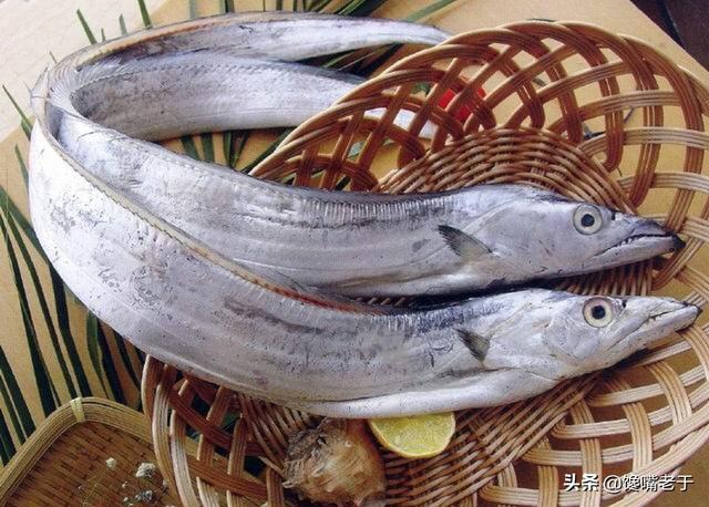 黑瓜子鱼属于什么鱼,黑瓜子鱼学名叫什么