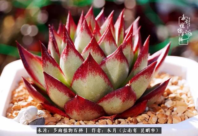 安康石英砂洗砂机厂家电话